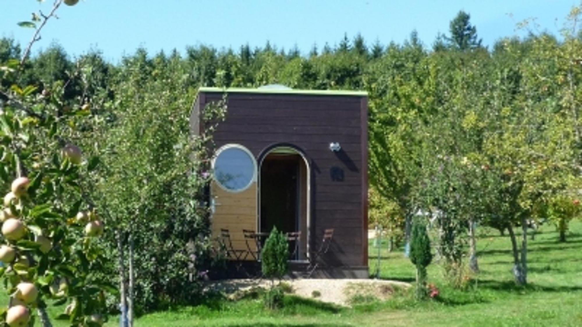 Le Domaine Des Tuileries Guest House Salins Exterior photo